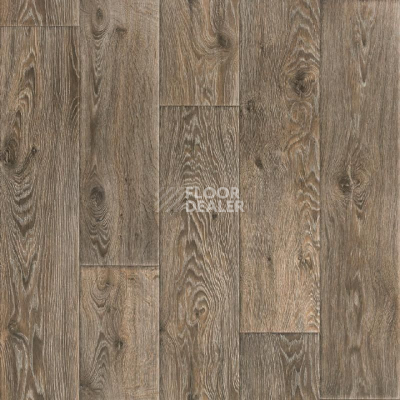 Линолеум Tarkett Premium Raymond 5 фото 1 | FLOORDEALER