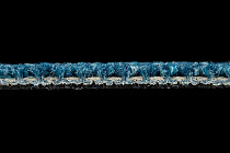 Escom Object 64063 фото 3 | FLOORDEALER