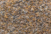 Forbo Akzent 10715 Ebony фото 3 | FLOORDEALER