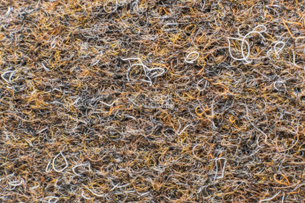 Forbo Akzent 10715 Ebony фото 3 | FLOORDEALER