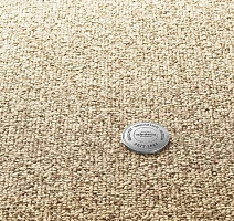 Ковролин Vorwerk Essential 1074/Parma Vorwerk 1n24 фото 1 | FLOORDEALER