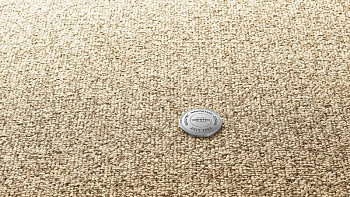 Ковролин Vorwerk Essential 1074/Parma Vorwerk 1n24 фото 1 | FLOORDEALER