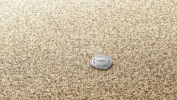 Ковролин Vorwerk Essential 1074/Parma Vorwerk 1n24 фото 1 | FLOORDEALER