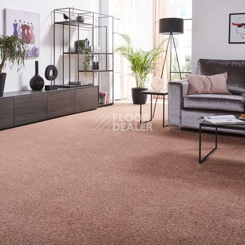 Ковролин Condor Sweet 11 фото 1 | FLOORDEALER