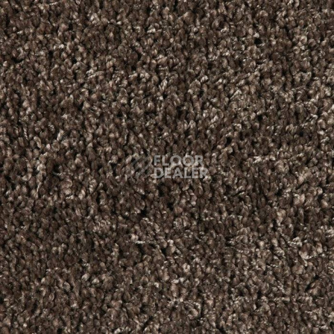 Ковролин Balta Shaggy Exclusive 780 фото 1 | FLOORDEALER