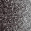 Ковролин Flotex by Starck Artist 324008 Artist Anthracite / Silver b4  | FLOORDEALER