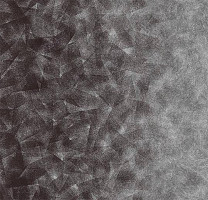 Flotex by Starck Artist 324008 Artist Anthracite / Silver b4 фото 1 | FLOORDEALER