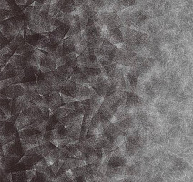 Ковролин Flotex by Starck Artist 324008 Artist Anthracite / Silver b4 фото 1 | FLOORDEALER