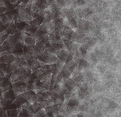 Ковролин Flotex by Starck Artist 324008 Artist Anthracite / Silver b4 фото 1 | FLOORDEALER