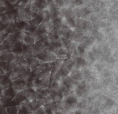 Flotex by Starck Artist 324008 Artist Anthracite / Silver b4 фото 1 | FLOORDEALER