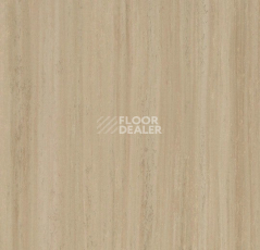 Линолеум Forbo Marmoleum Striato 5256 silt stone фото 1 | FLOORDEALER