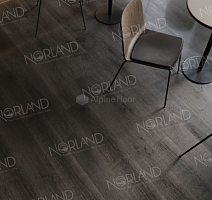 Norland Sigrid  LVT 2мм Baggy 1003-7 фото 3 | FLOORDEALER