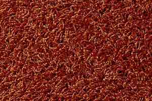 Ковровая плитка Betap Chromata Feel 35 фото  | FLOORDEALER