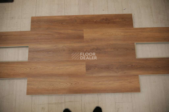 Evofloor Optima Click 4.2мм Дуб Янтарный фото 2 | FLOORDEALER