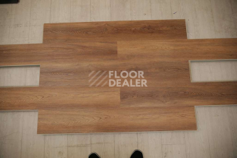 Evofloor Optima Click 4.2мм Дуб Янтарный фото 2 | FLOORDEALER