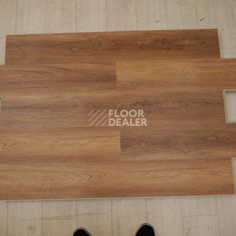 Evofloor Optima Click 4.2мм Дуб Янтарный фото 2 | FLOORDEALER