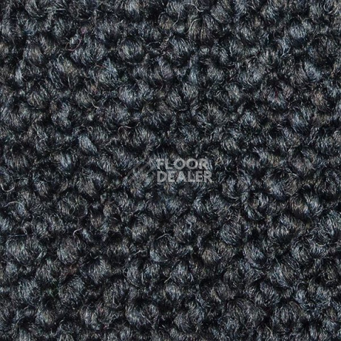 Ковролин Carpet Concept Eco Cut 54560 фото 1 | FLOORDEALER