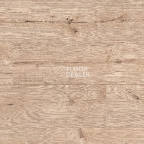 Ламинат Classen Arteo 8XL WR 55087 Gibson Oak /8XL фото 1 | FLOORDEALER