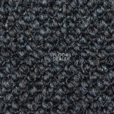 Ковролин Carpet Concept Eco Cut 54560 фото 1 | FLOORDEALER
