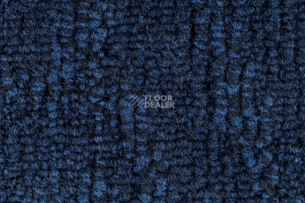 IVC Animate 543 фото 5 | FLOORDEALER