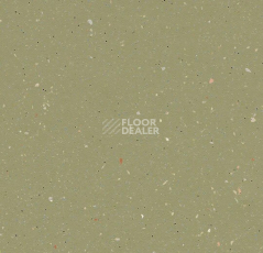 Линолеум Forbo SureStep Original 172542 moss фото 1 | FLOORDEALER