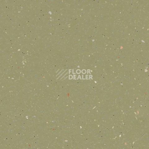 Линолеум Forbo SureStep Original 172542 moss фото 1 | FLOORDEALER