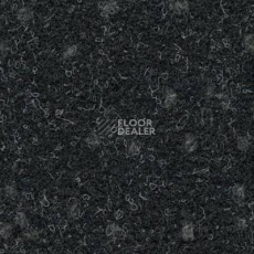 Ковролин Finett Vision Focus 985547 фото 1 | FLOORDEALER