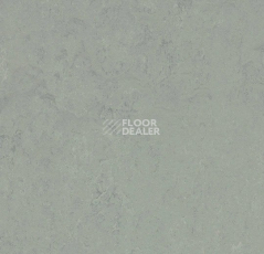 Линолеум Forbo Marmoleum Decibel on Order 376235 loam фото 1 | FLOORDEALER