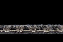 Escom Block 4506 фото 3 | FLOORDEALER