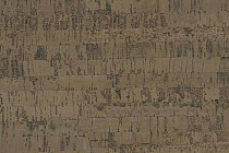 Пробковое покрытие Cork Pro замковое Linea March фото 1 | FLOORDEALER