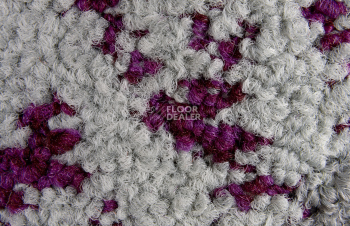 ColorKey ColorKey c 05 фото 2 | FLOORDEALER