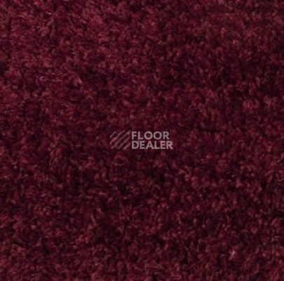 Ковролин Carnival Associated 11 фото 1 | FLOORDEALER