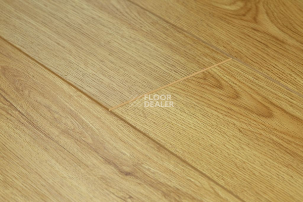 Ламинат Biela Cbm Silence 10мм 716-10 Классический Дуб фото 1 | FLOORDEALER