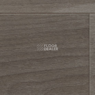 Линолеум Taralay Initial Compact (wood) 0960 Bostonian Grey фото 1 | FLOORDEALER