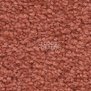 Ковролин Balsan Les First Les First 460 фото 1 | FLOORDEALER