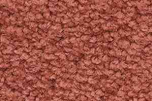 Ковролин Balsan Les First Les First 460 фото  | FLOORDEALER