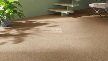 Vorwerk Essential 1031 Vorwerk 2f29 фото 2 | FLOORDEALER