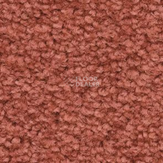 Ковролин Balsan Les First Les First 460 фото 1 | FLOORDEALER