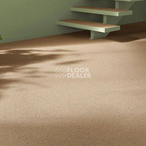Vorwerk Essential 1031 Vorwerk 2f29 фото 2 | FLOORDEALER