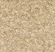 Ковролин AW Gala Equator 39 фото 1 | FLOORDEALER