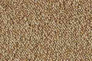 Ковролин Lano Corindo Coi 0363 фото  | FLOORDEALER