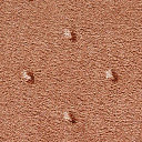 Ковролин Condor Carpets Africa 281  | FLOORDEALER