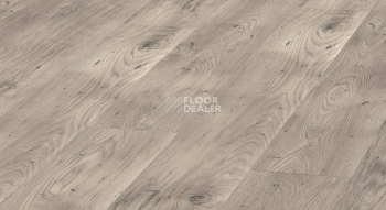 Ламинат Kronopol Aurum Aroma d3341 Дуб Жасмин фото 1 | FLOORDEALER