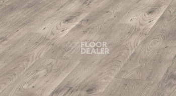 Ламинат Kronopol Aurum Aroma d3341 Дуб Жасмин фото 1 | FLOORDEALER