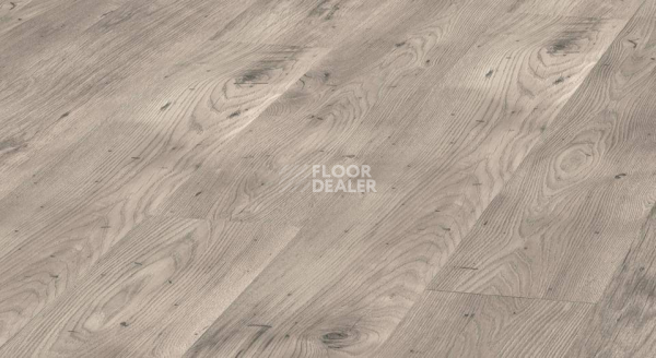 Ламинат Kronopol Aurum Aroma d3341 Дуб Жасмин фото 1 | FLOORDEALER