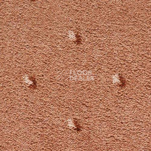 Ковролин Condor Carpets Africa 281 фото 1 | FLOORDEALER