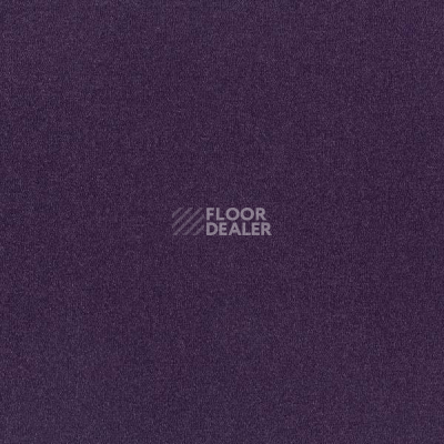 Ковровая плитка Interface Palette 2000 Blackcurrent фото 1 | FLOORDEALER