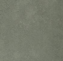 Линолеум Forbo Emerald Standart 72423 фото 1 | FLOORDEALER