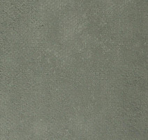 Линолеум Forbo Emerald Standart 72423 фото 1 | FLOORDEALER