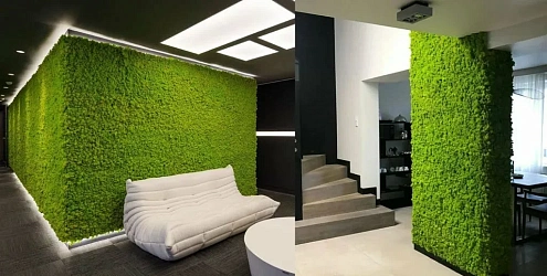 Зачем заводить ковролин на стены?